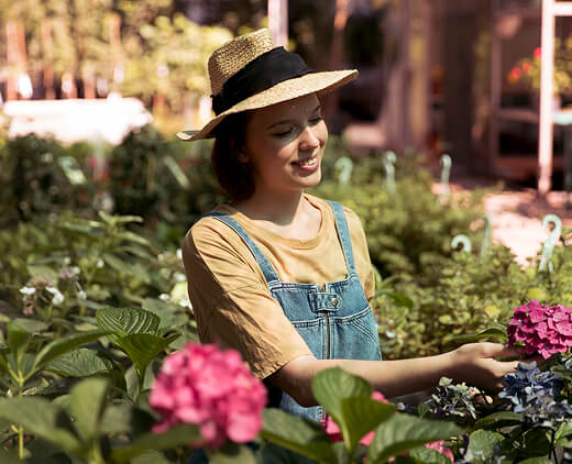 Vert Veine plant specialist at work
